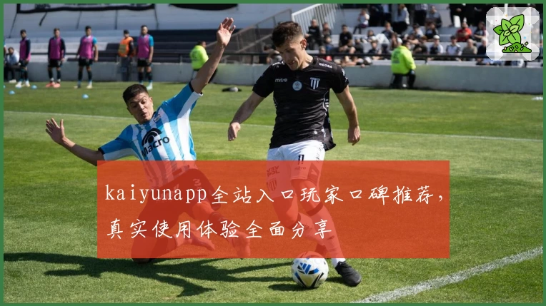 kaiyunapp全站入口玩家口碑推荐，真实使用体验全面分享