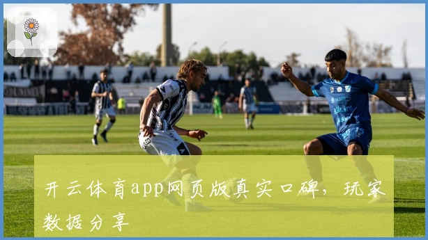 开云体育app网页版真实口碑，玩家数据分享