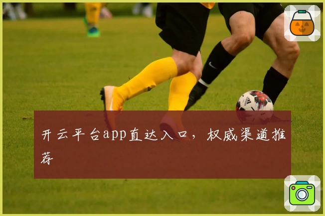 开云平台app直达入口，权威渠道推荐